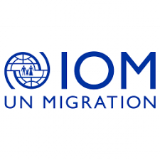 Logo 17